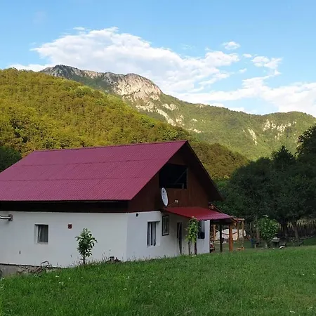 Lui Foarda Holiday home