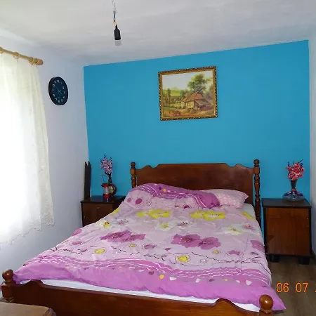 Lui Foarda Holiday home Motru Sec