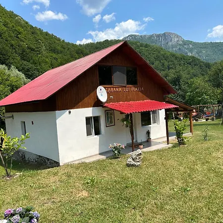 Lui Foarda Motru Sec