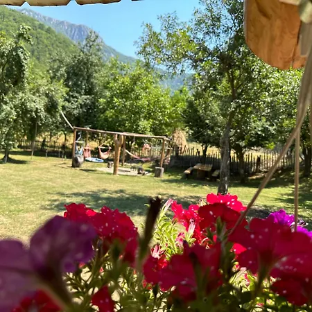 Holiday home Lui Foarda Motru Sec