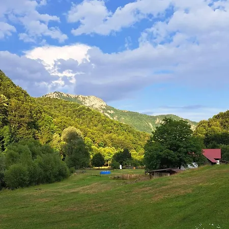 Lui Foarda Holiday home Motru Sec