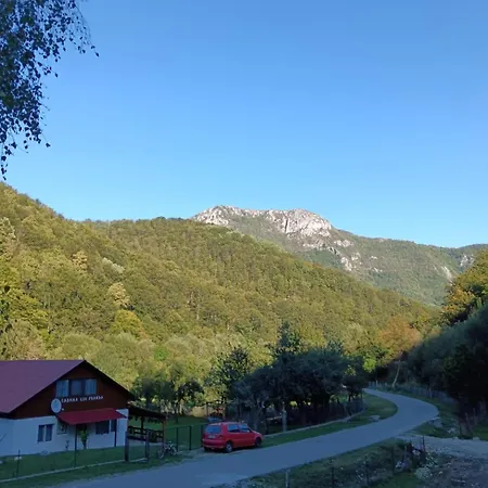 Holiday home Lui Foarda *