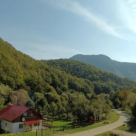 Lui Foarda *