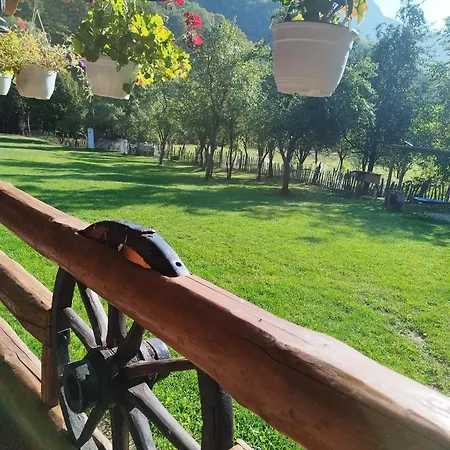 Lui Foarda * Motru Sec